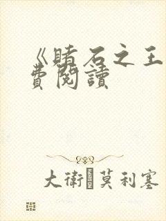 《赌石之王》免费阅读