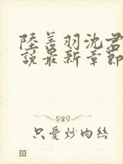 陆羡羽沈君夕小说最新章节免费阅读