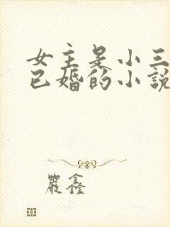 女主是小三男主已婚的小说推荐