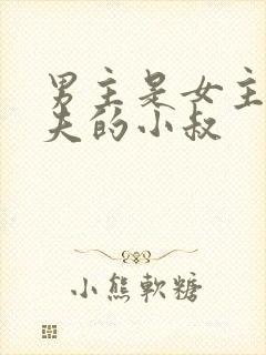 男主是女主未婚夫的小叔