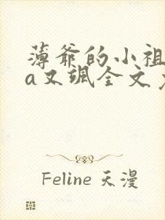 薄爷的小祖宗又a又飒全文免费阅读