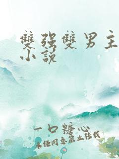 双强双男主现代小说