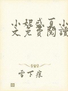 小妮盛夏小说全文免费阅读最新章节