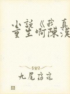 小说《我真没想重生啊陈汉升》