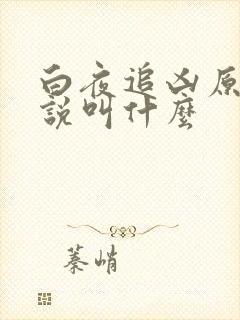 白夜追凶原著小说叫什么