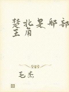 楚北是哪部小说主角