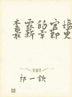 李霖的官场小说最新章节更新