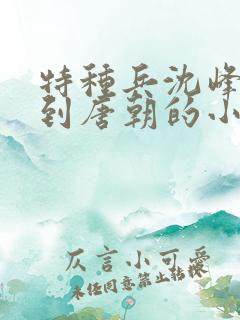 特种兵沈峰穿越到唐朝的小说