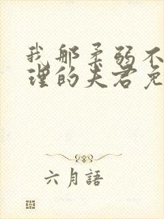 我那柔弱不能自理的夫君免费阅读