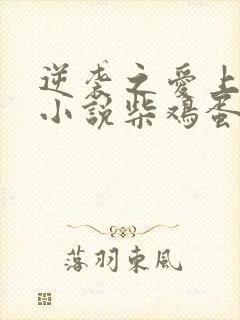 逆袭之爱上情敌小说柴鸡蛋免费阅读