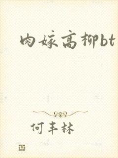 肉嫁高柳bt