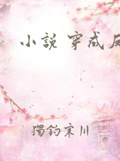 小说 穿成反派