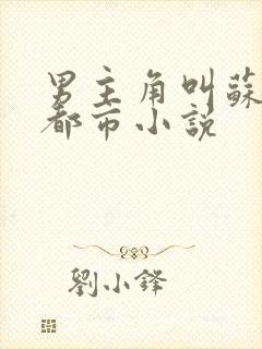 男主角叫苏白的都市小说