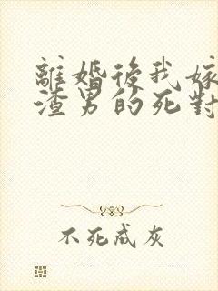 离婚后我嫁给了渣男的死对头