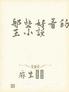 那些好看的双男主小说