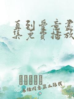 直到爱意尽头全集免费播放