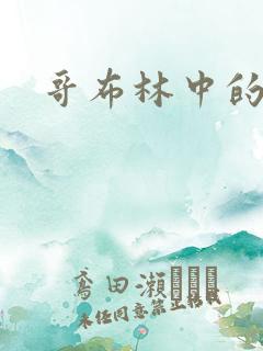 哥布林中的圣女