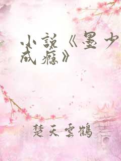 小说《墨少宠妻成瘾》