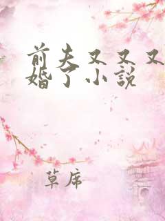前夫又又又想复婚了小说