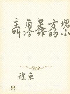 主角是方块人,叫冷锋的小说名字