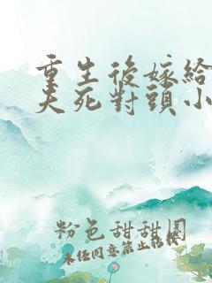 重生后嫁给了前夫死对头小说