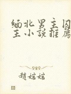 缅北男主囚禁女主小说推荐