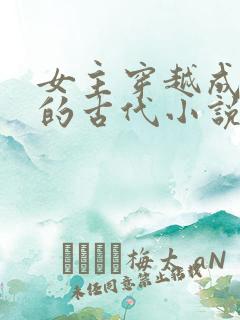 女主穿越成外室的古代小说