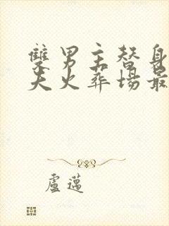 双男主替身文追夫火葬场最好看