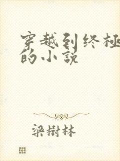 穿越到终极斗罗的小说