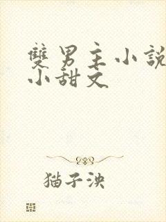 双男主小说推荐小甜文