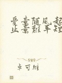 爱意随风起,风止意难平短剧免费观看