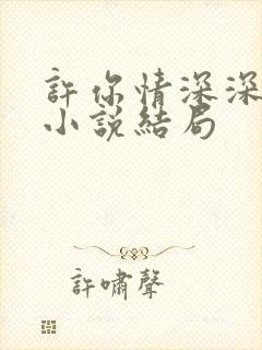 许你情深深似海小说结局