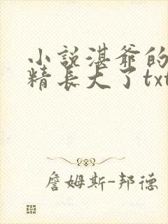 小说湛爷的小妖精长大了txt