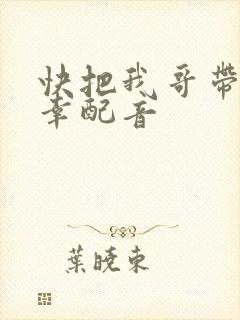 快把我哥带走万幸配音
