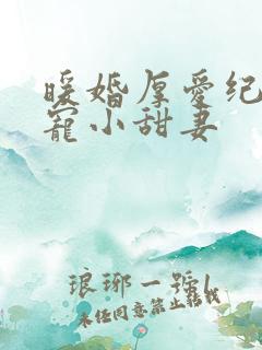 暖婚厚爱纪总独宠小甜妻