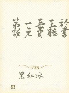 第一兵王于枫小说免费听书