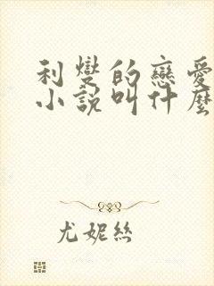 利燮的恋爱原著小说叫什么