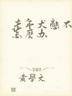 老年犬憋不住尿怎么办