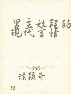 男主姓段的小说现代言情