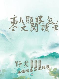 高h显眼包小说全文阅读笔趣阁