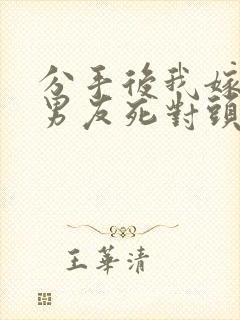 分手后我嫁给前男友死对头全文小说