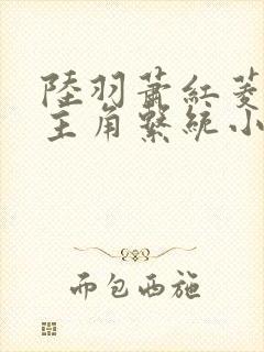 陆羽萧红菱小说主角系统小说