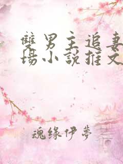 双男主追妻火葬场小说推文