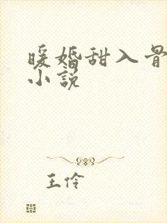 暖婚甜入骨有声小说