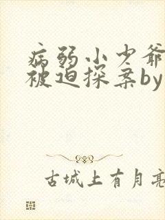 病弱小少爷又在被迫探案by虞水汐