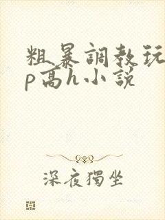 粗暴调教玩弄np高h小说