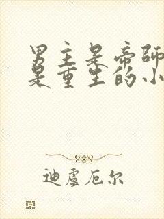 男主是帝师女主是重生的小说