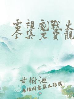 电视剧战火红颜全集免费观看