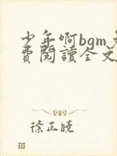 少年啊bgm免费阅读全文