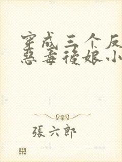 穿成三个反派的恶毒后娘小说